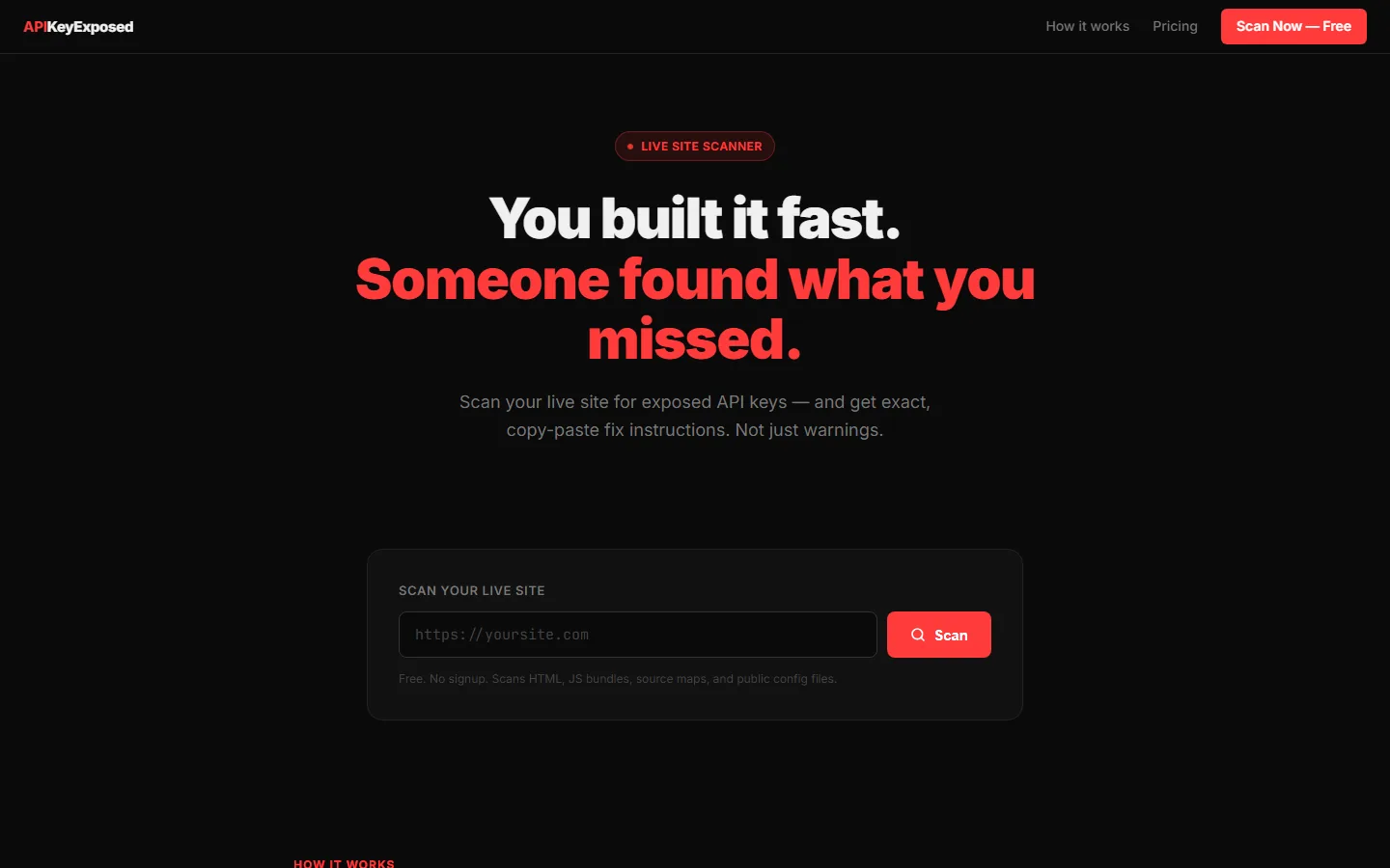 The API Key Exposed home page: dark layout, the headline 'You built it fast. Someone found what you missed.' above a URL entry field.
