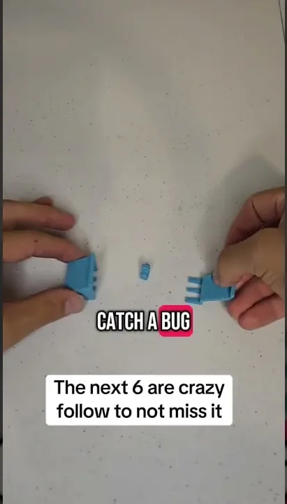 The Bug Grabber as it looks today.